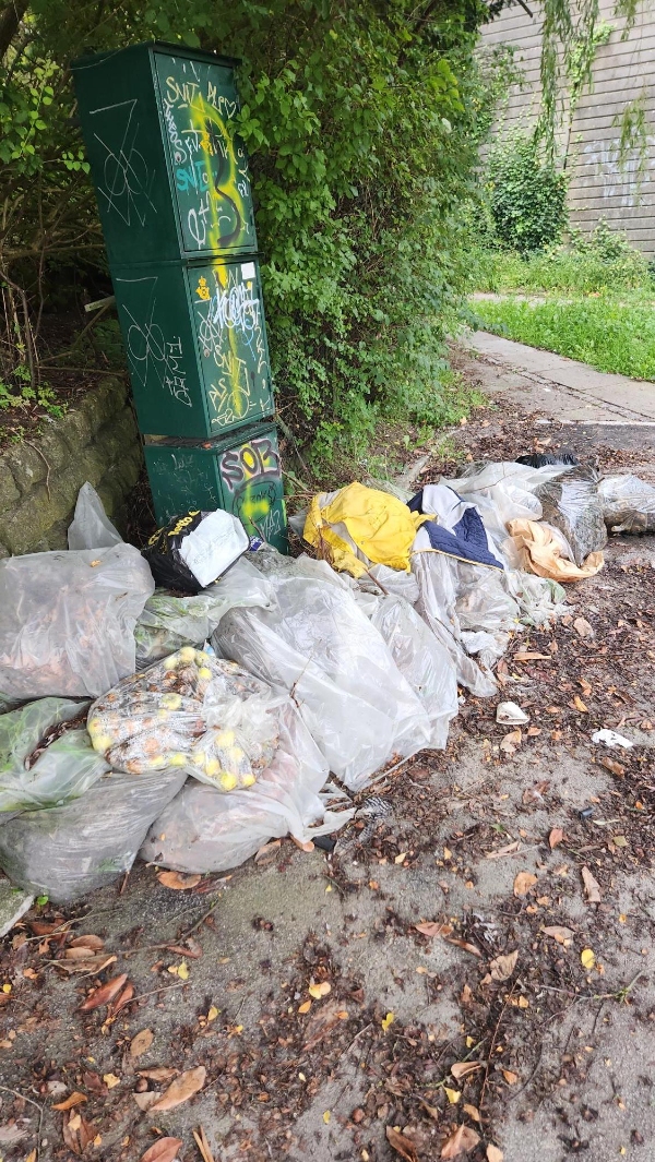 Fjernelse af diverse fra min indkørsel