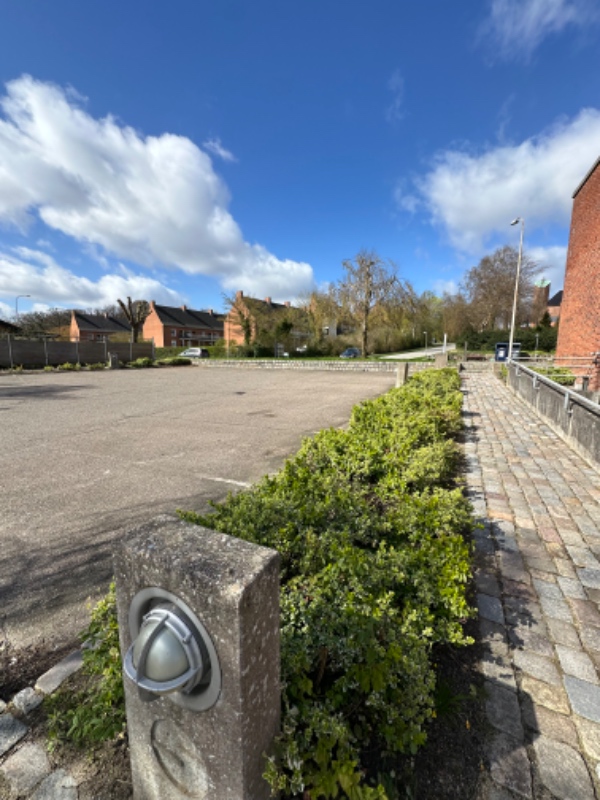 Græsslåning og hækklipning