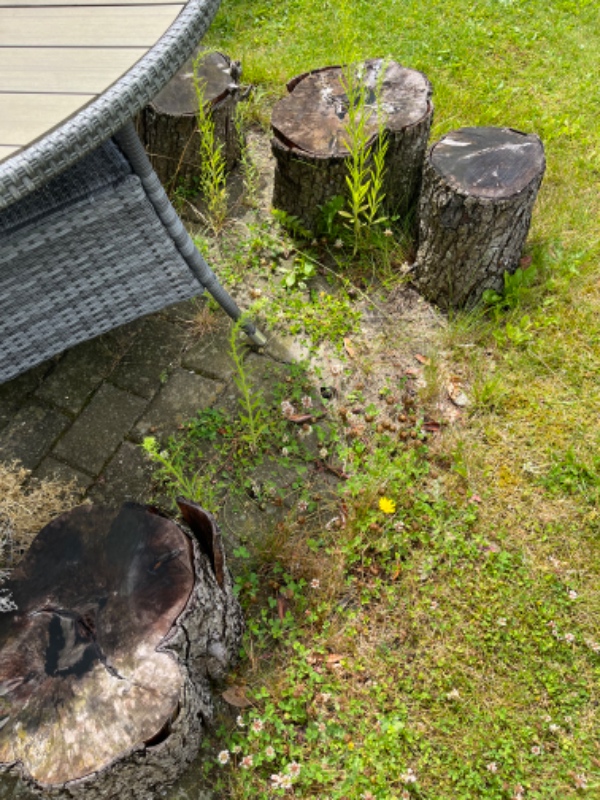 Ukrudtsfjerning og kantstikning