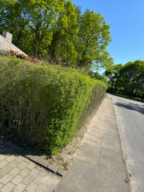 Haveaffaldsafhentning i Kolding