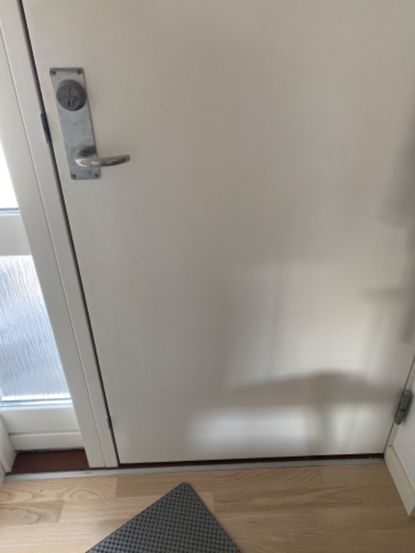 Vi vil gerne have sat en chip kattelem i vores hoveddør, som er lavet af træ