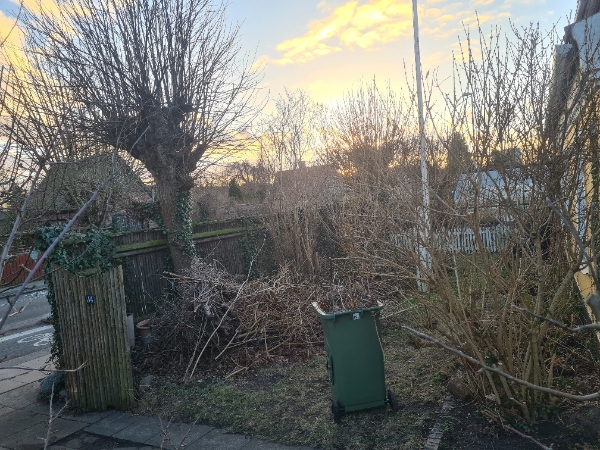 Bortkørsel af to store bunker afskårede grene