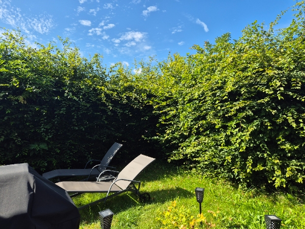 Hækkeklipning og fjernelse af ukrudt