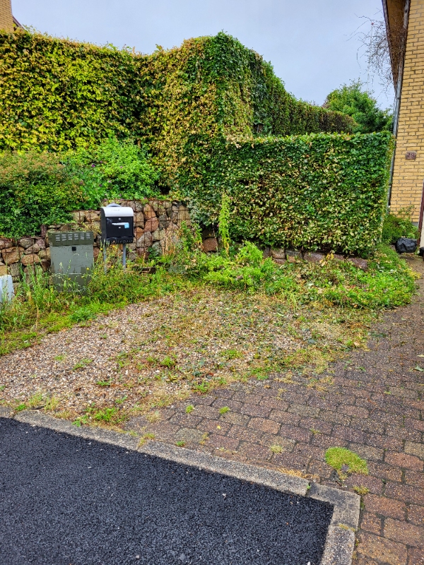 Fjerne planter og småsten