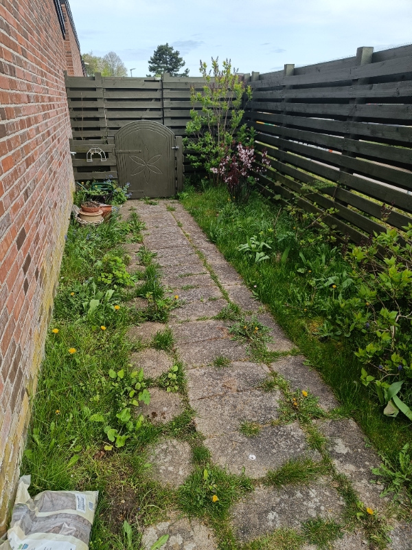 Fjernelse af ukrudt, i have og mellem fliser.Slået græs