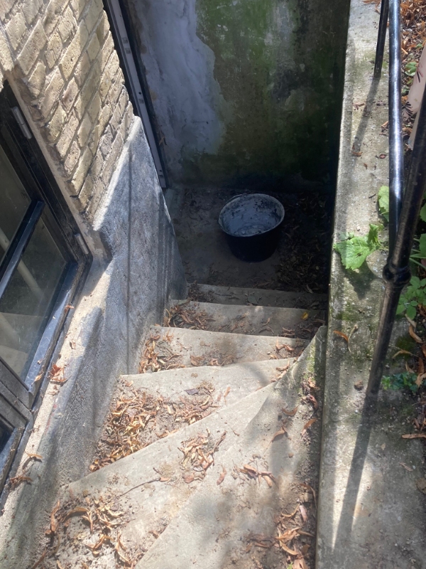 Spande med jord bæres op fra kælder