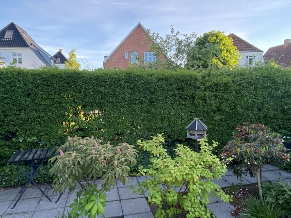 Hækklipning og affaldsfjernelse