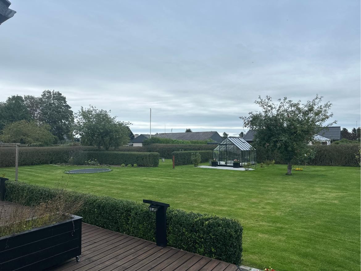 Beskåret 2 æbletræer