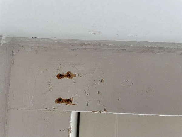 istandsættelse ved fraflytning af 46m2 rækkehus