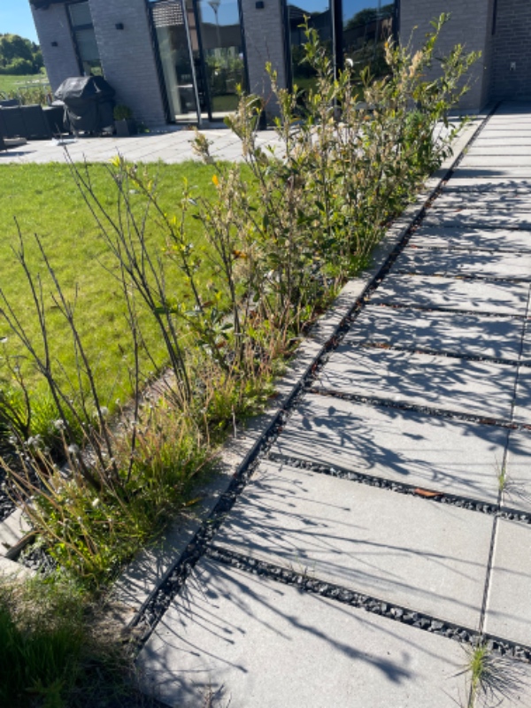 Fjernelse af ukrudt 500m2
