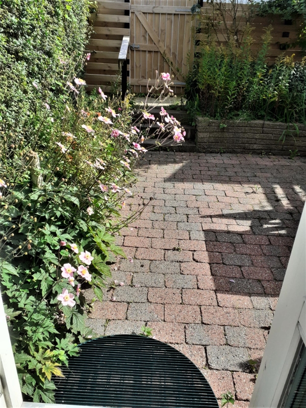 Havemand til min have