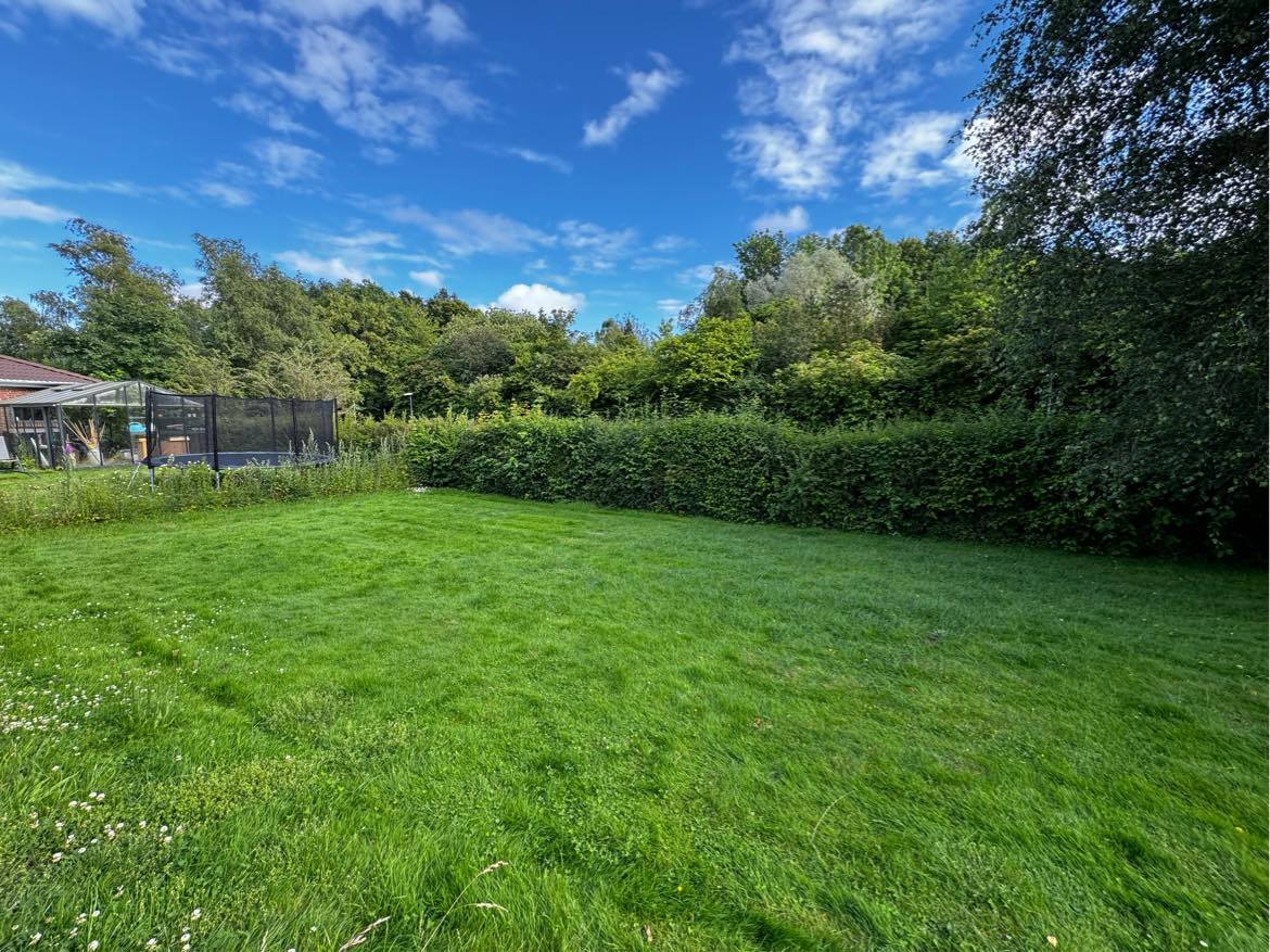 Hækklipning og græsslåning