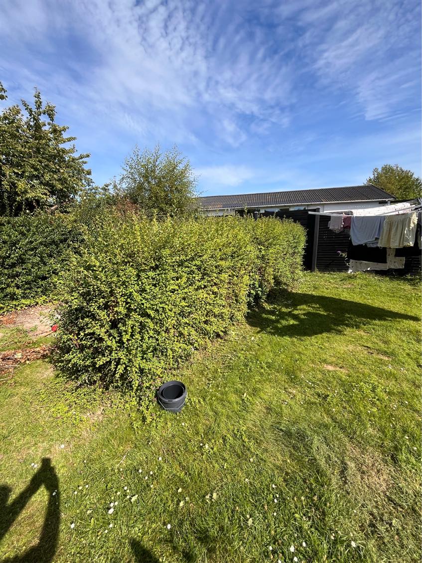 Fjerne hæk i baghave og klippe bøgehæk i forhave indvendigt