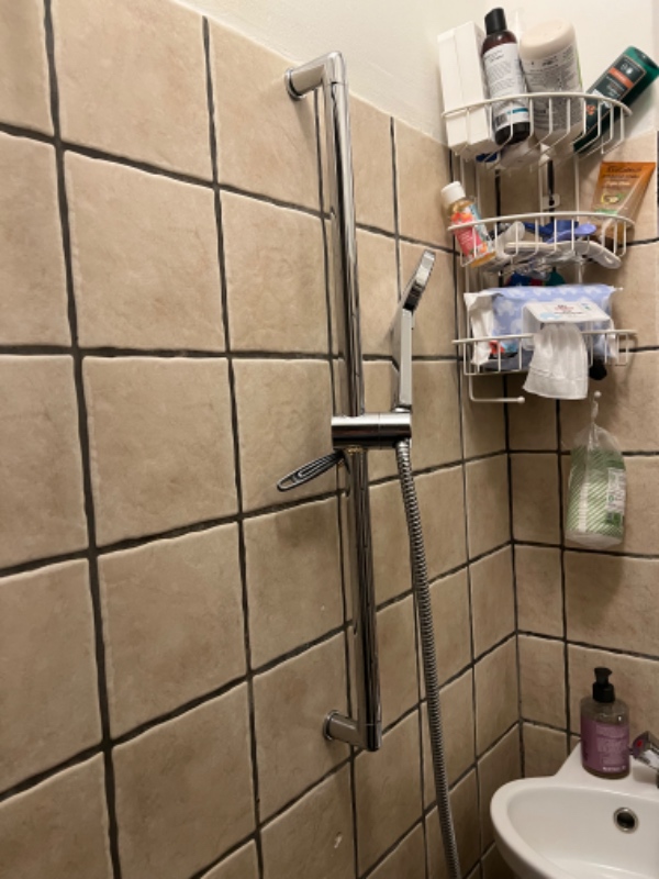 Nyt brusehoved og stang