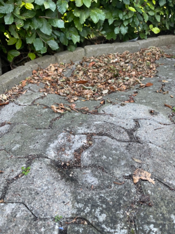 Reparation af stensætning samt terteasse