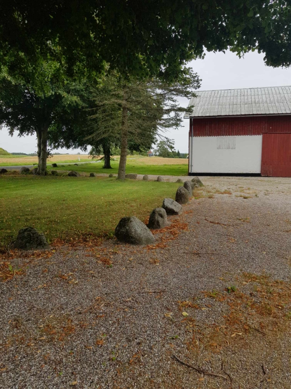 Fjerne ukrudt fra gårdsplads