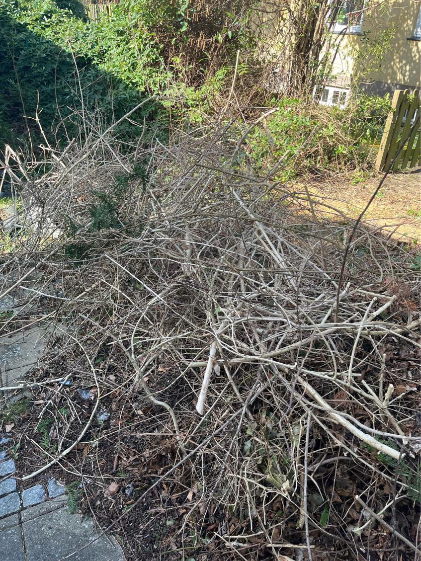 Have hentet haveaffald (primært gammelt brænde)