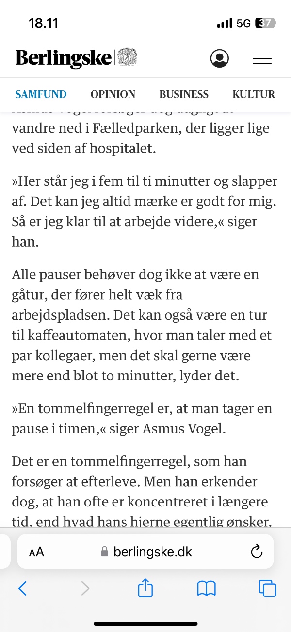 Nedtagning af brændeovn