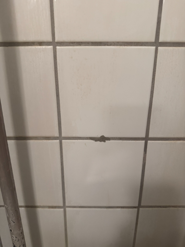 Opsætning af brusesæt, GROHE Vitalio Joy 260 brusesystem