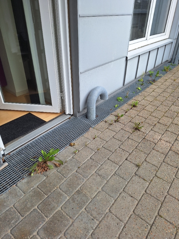 Fjernet  ukrudt mellem fliser