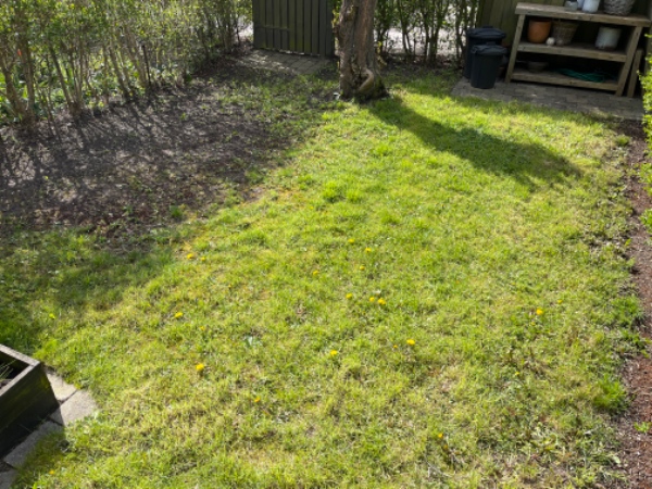 Græsplænepleje og gødning