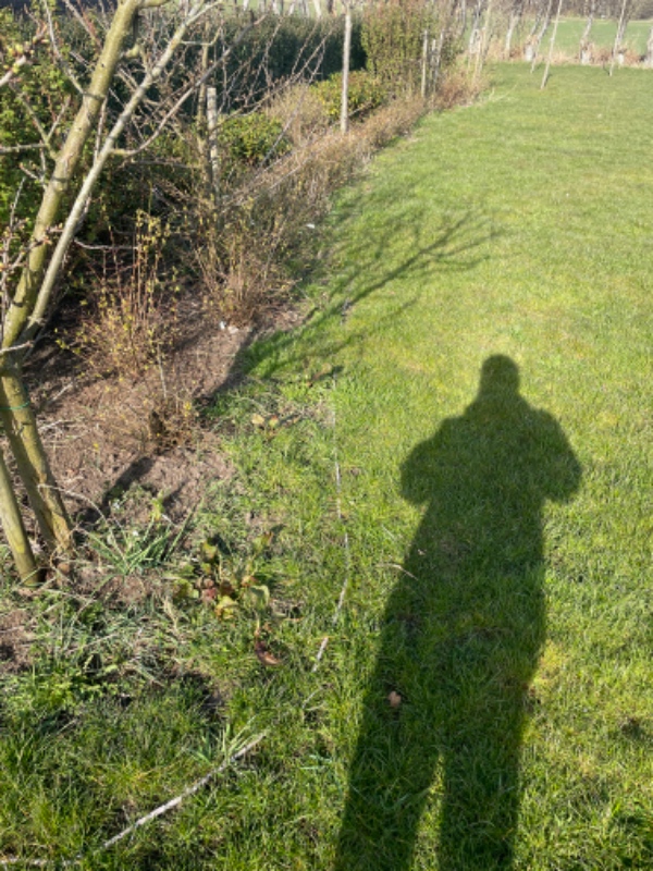 Lægge fliser som kant til bed