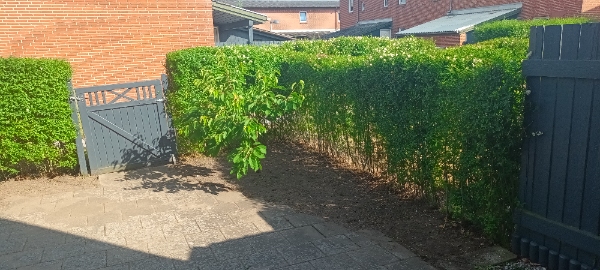 Lagt Ca 55 fliser 30 x 30 + lidt kantsten 15 × 30