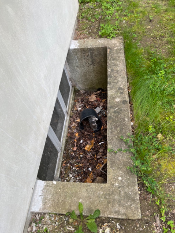 Haveoprydning og affaldskørsel