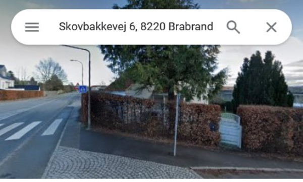 Klipning af bøgehæk