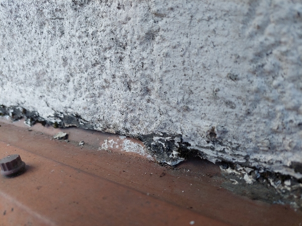 Ny fuge og fjern af den gamle. Og nogle nye skruer til tag.