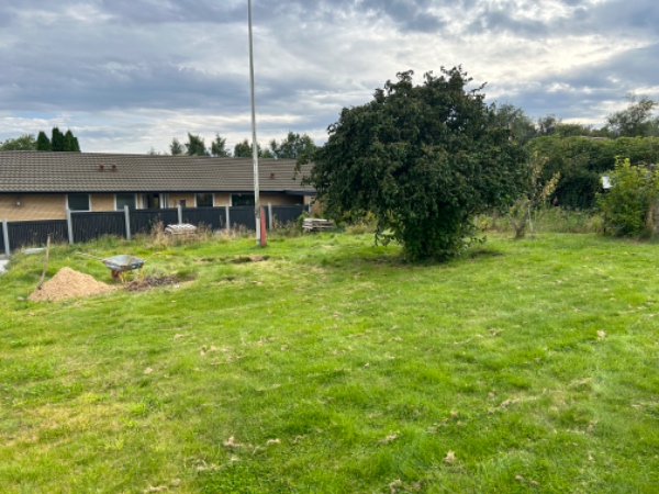 Græsslåning + ukrudt