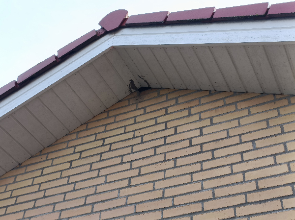 Reparation af hul i gavl