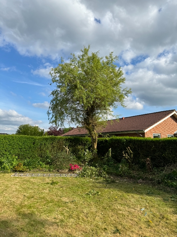 Fjernelse af pil og haveaffald