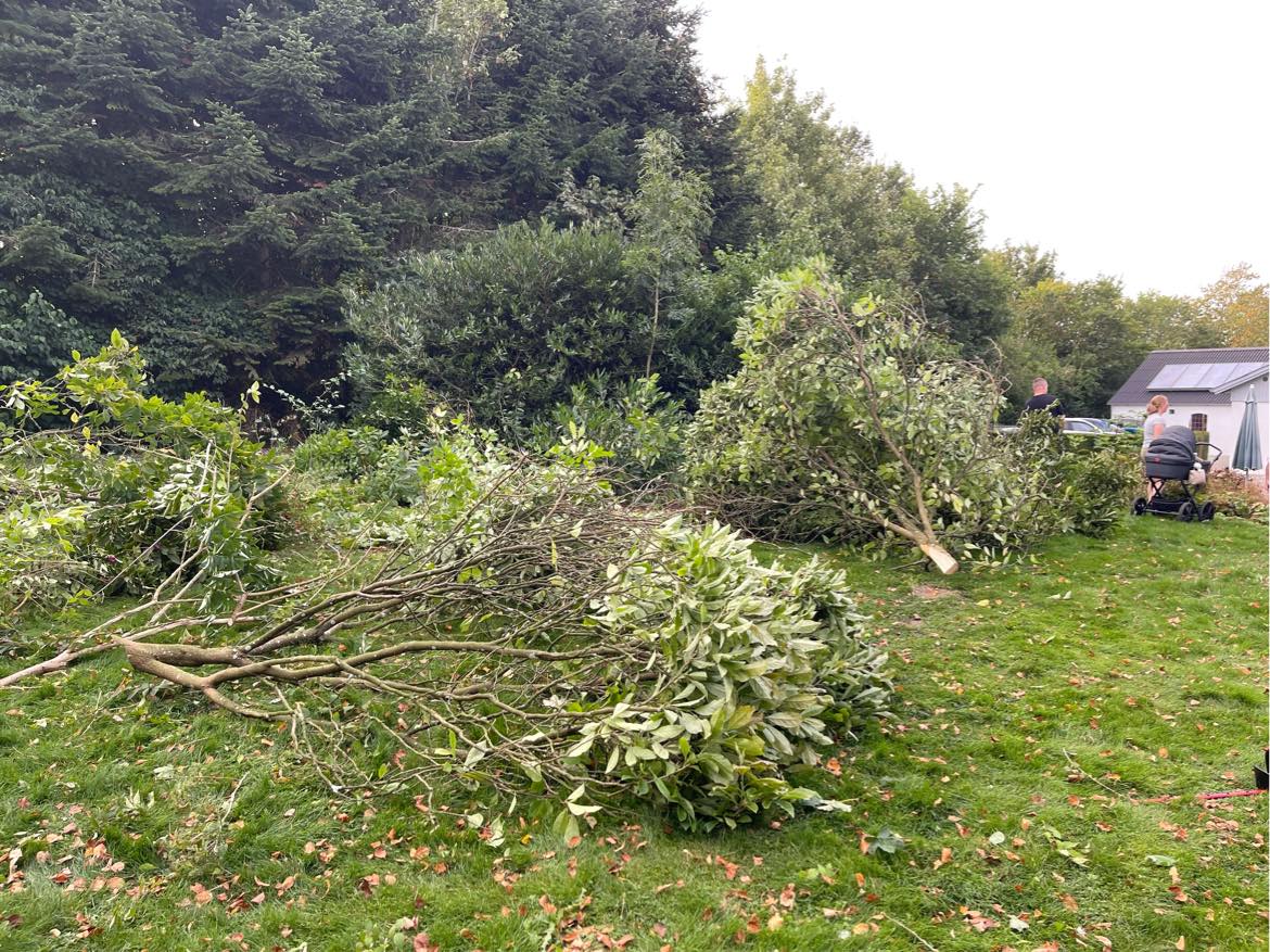 Kørt på genbrug med have affald