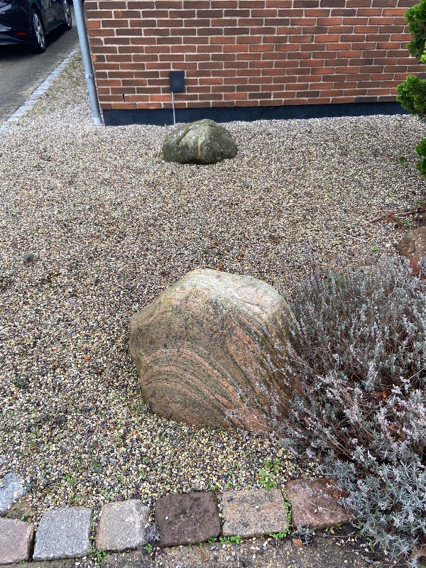 Ukrudtsdug og perlesten