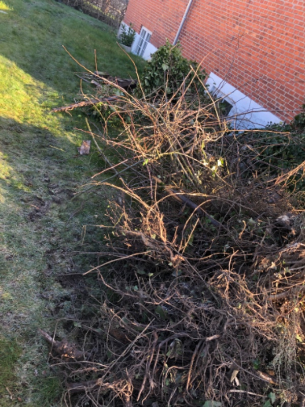 Afhentning af haveaffald