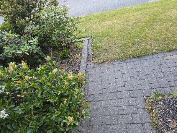 Klargøring af havebede