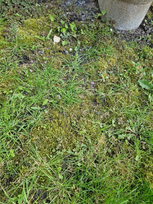 Havearbejde: tømning, ukrudtsfjernelse, græspleje