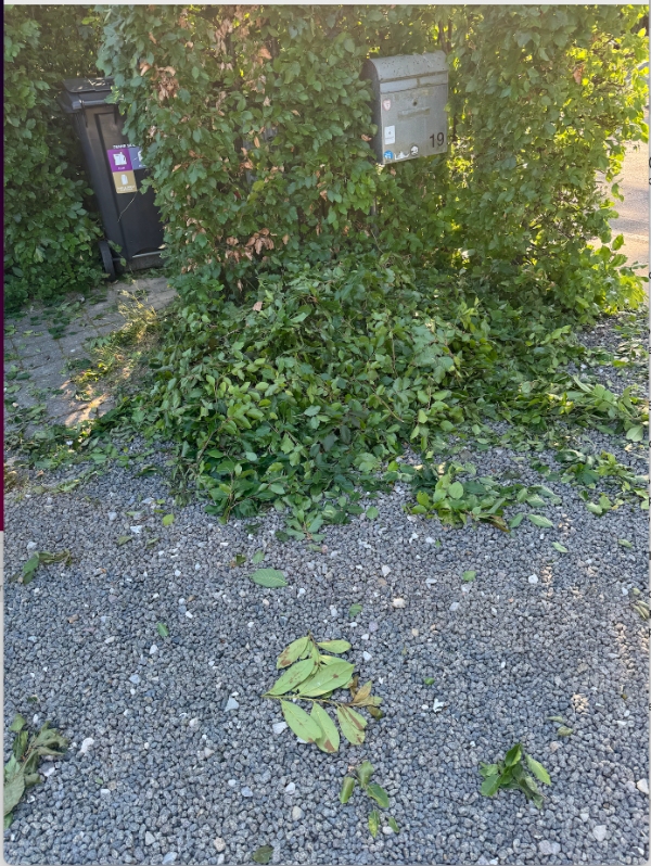 Afhentning af granaffald og grene