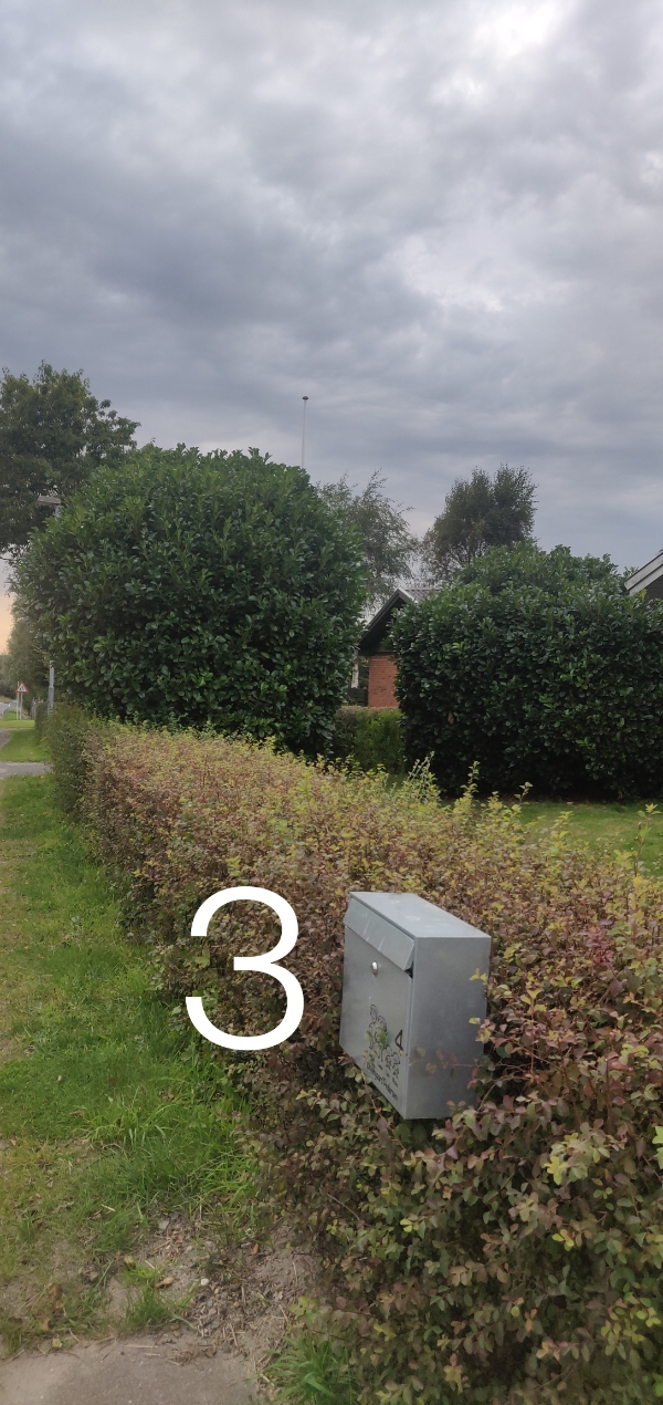 Træfældning og beskæring