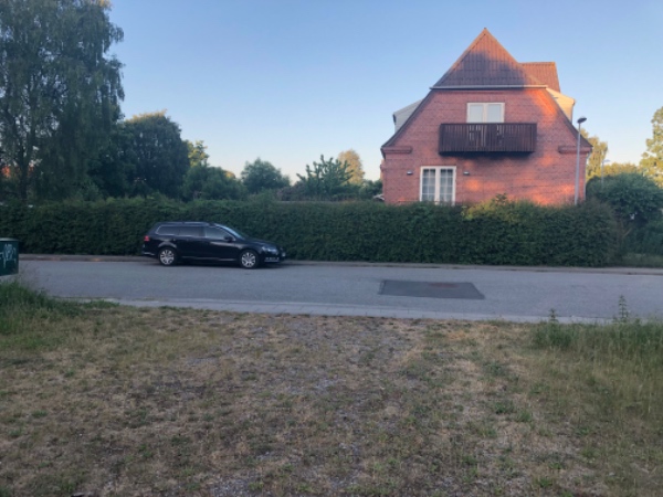 Klipning af hæk ca. 30m