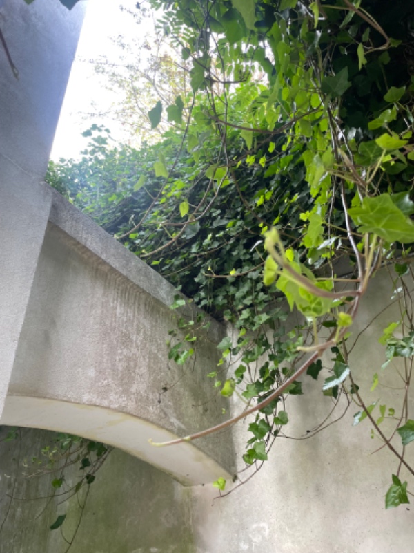 Fjerne ukrudt og nedklipning