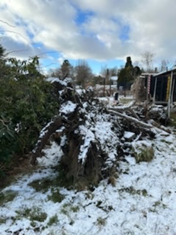 Vaek koersel af buske, grene, traestamme vha. en grabmaskine