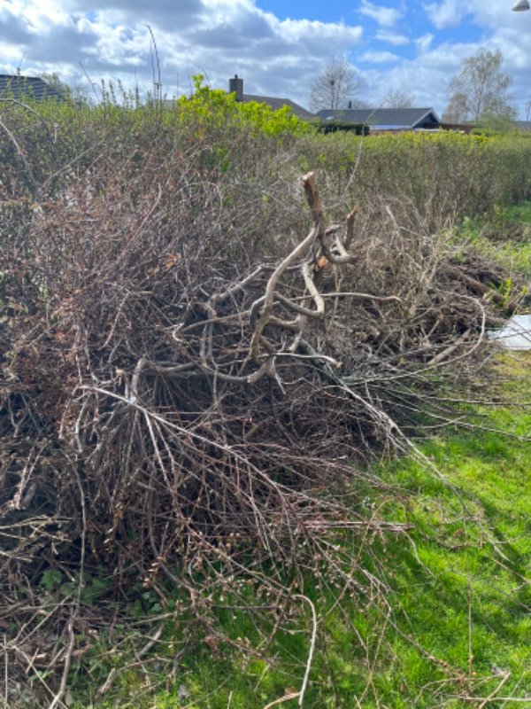Kørsel af haveaffald til genbrug