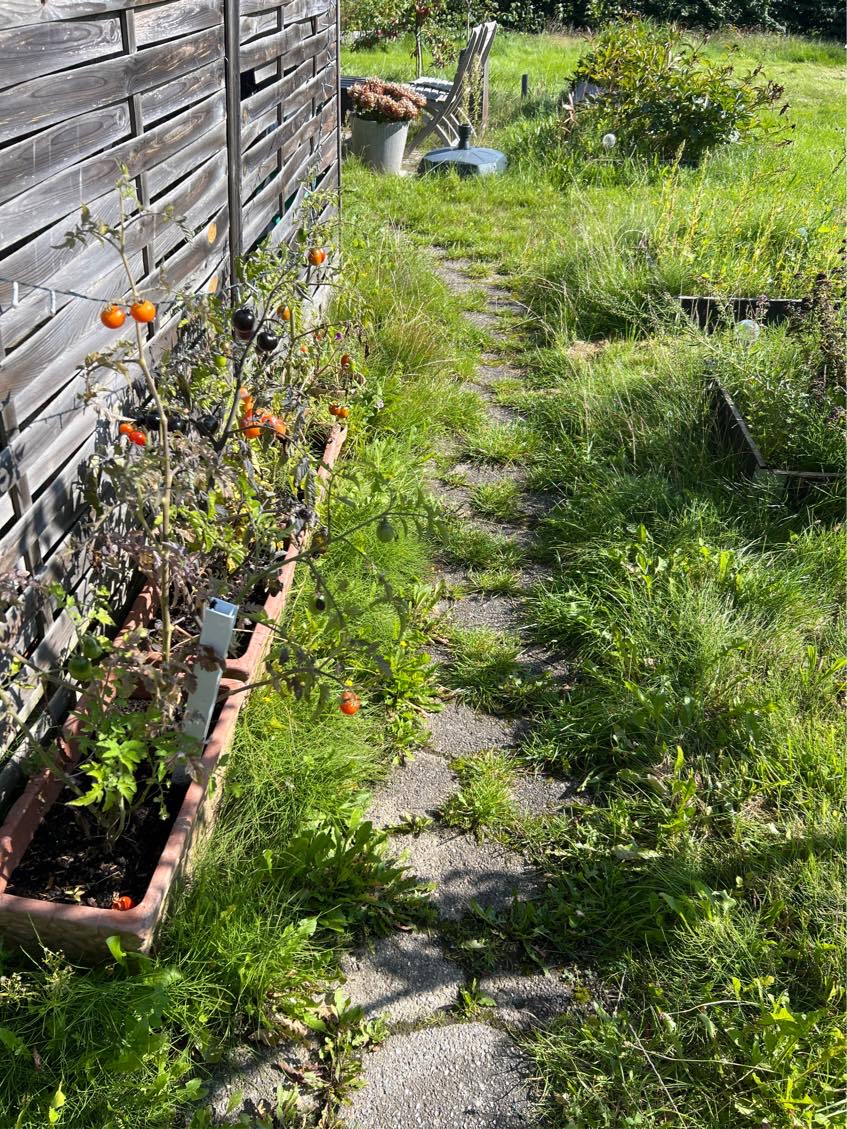 Need help with my garden