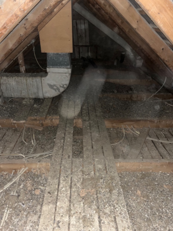 Fjerne fugleklatter og 1 madras m.m.