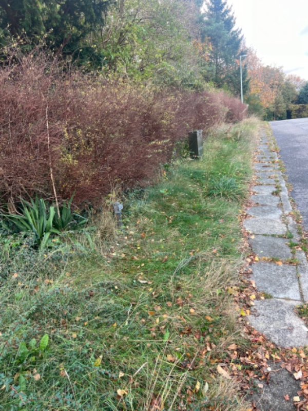 Beskæring af beplantning