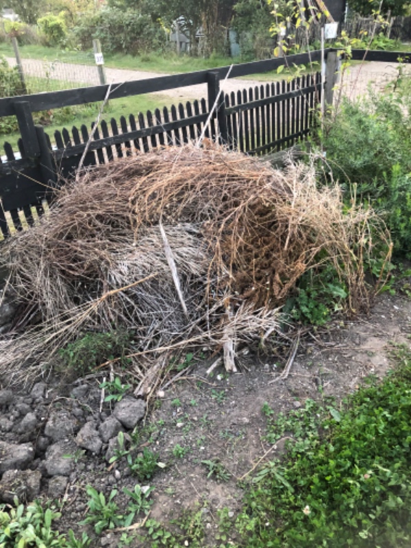 Haveaffald og lidt andet til genbrugsstation