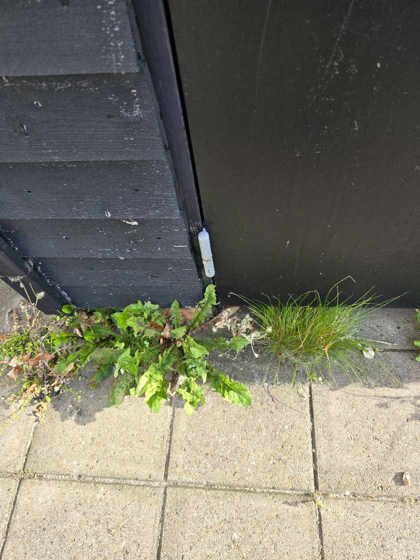 Rengøring af fliser og klipning af hæk