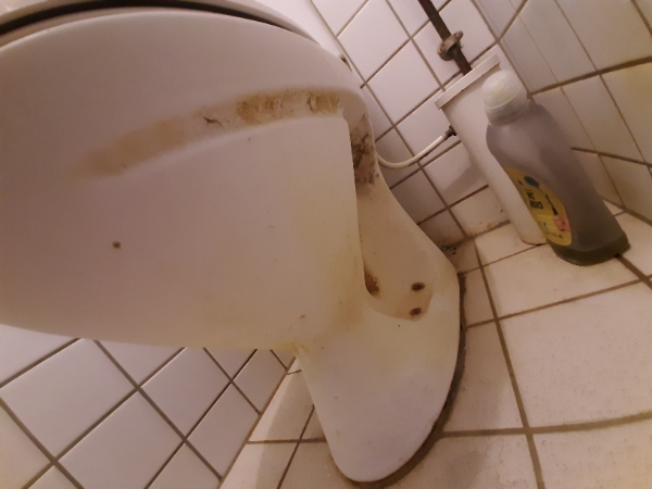 Rengøring i bad, køkken og et enkelt værelse i en lejlighed